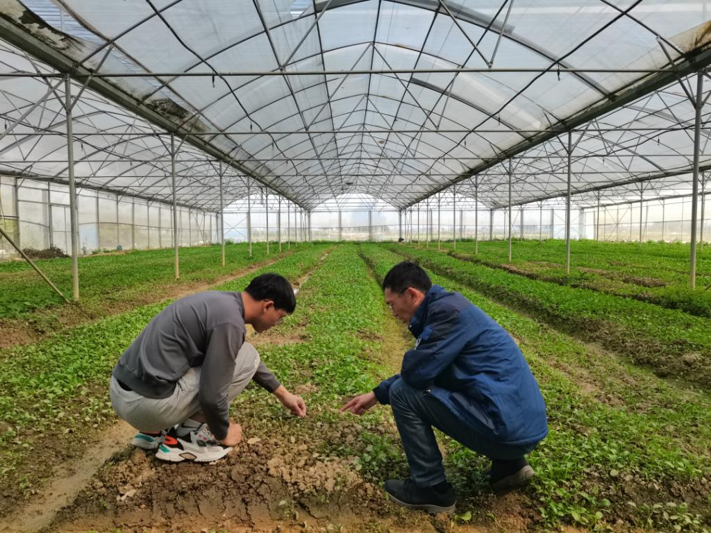 师生“轻骑兵”团队在兴宁叶南渔村蔬（漉）菜育苗试验基地.png