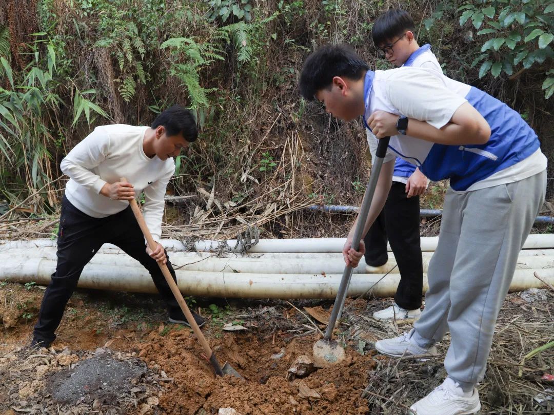 紧密协作，植此青绿 beat365在线体育官网登录入口供图.jpg